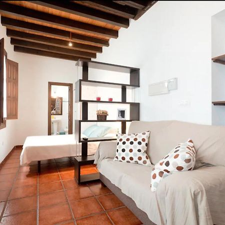 Apartamentos Centro Historico A Los Pies De La Alhambra グラナダ エクステリア 写真